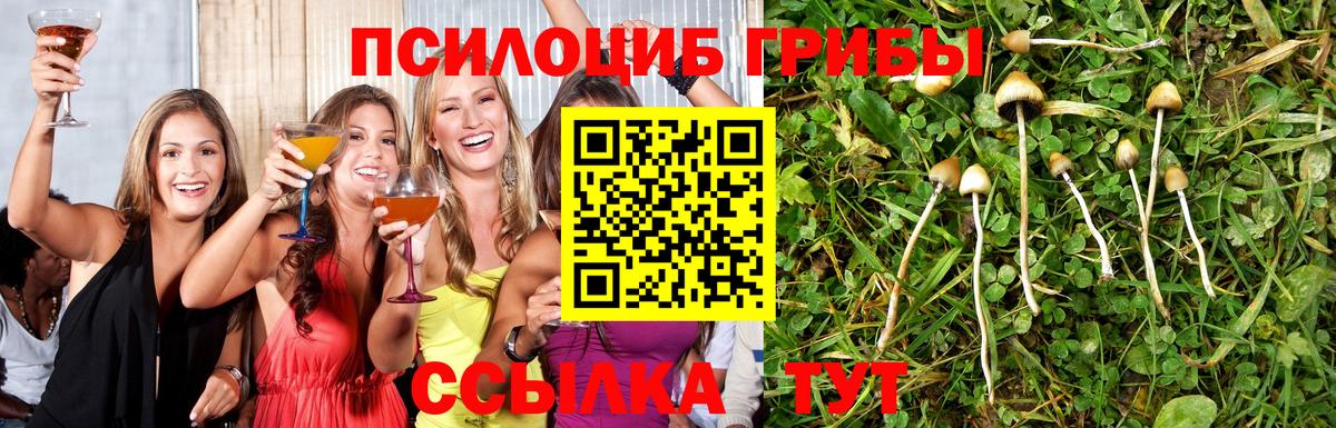 Псилоцибиновые грибы Cubensis Гагарин